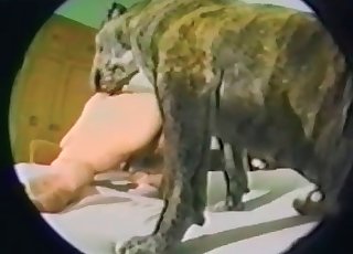 Sex-starved dog and its owner