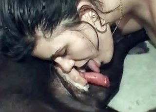 Dog dick being gobbled and pleasured