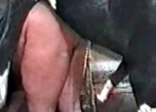 Mare fucks like a mutt