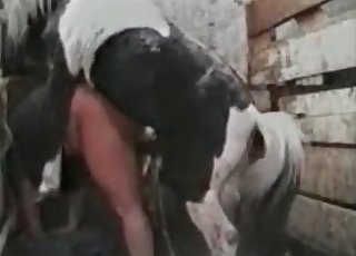 거대한 종마에게 섹스를 당한 농부
