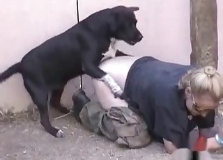 Pes si privošči sočno debelo rit