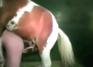 Gespierd dier en gehoorzame zoöfiel