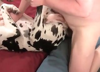 داغ دار کتا ڈک سے لطف اندوز ہو رہا ہے۔