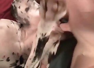 Gevlekte hond geniet van een pik