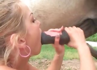 Nuori jockey ja musta eläinten lihapiippu