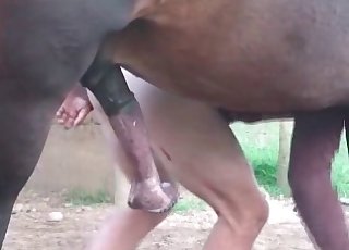 Just showing a massive stallion pipe