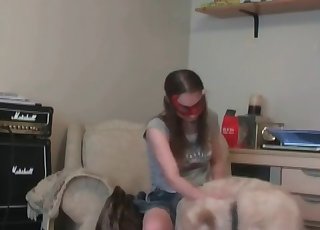 Musicista mascherato e il suo cane addestrato