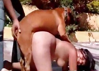 Intenzivna penetracija od blizu