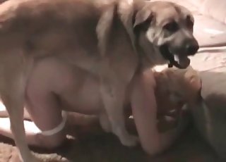 Busty charming whore and doggy
