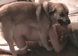 Busty charming whore and doggy