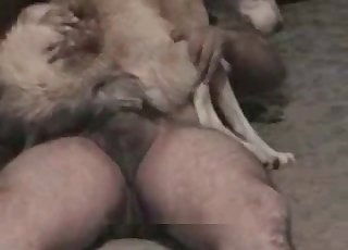 Zoophile is wearing his doggy