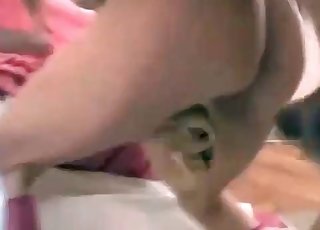 Zoophile kreunt in de slaapkamer