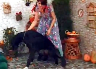 Playful doggy knows how to get it