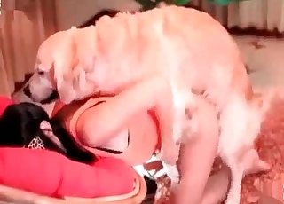 Doggo vernietigt een kinky brunette meisje