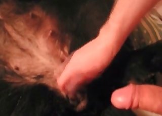 Just stimulating my preggo dog