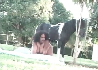 Un latino grasso fa un pompino profondo a un cavallo
