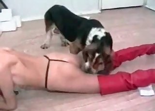 Metsästäjä ja alistuva zoofiili