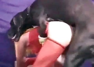 Veľký pes si uvedomuje, že niektoré špinavé mysle