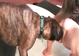 Długowłosy zoofil w sypialni