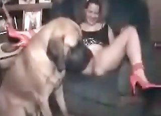 Jen si hraju s horkým lízáčem pesíků