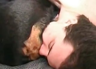 काले कुत्ते की खोज की जा रही है