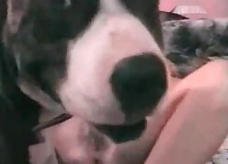 สาวผมบลอนด์หน้าอกใหญ่และสัตว์ที่เธอฝึกมา