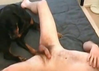 Submissive dog enjoys a wiener