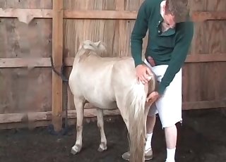 Preparing this white pony for sex