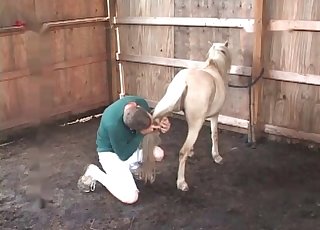 Preparing this white pony for sex