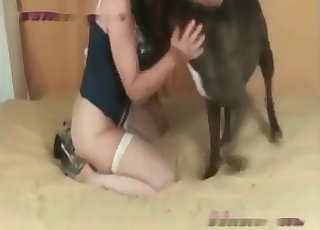 超棒的妞儿和狗摩擦并交媾