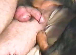 Dovoľ mi len tak pomilovať tohto blázna