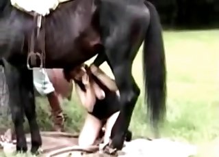 Farmer helps his horse so much