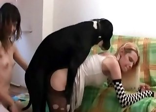Sister is being fucked by a mutt