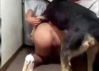 Dog screws a dirty pervert