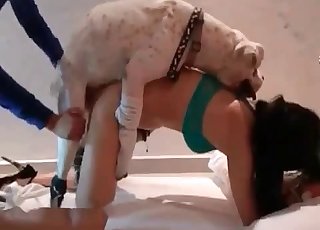 First animal sex of an Japanese