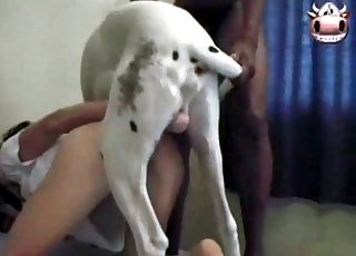 Rauwe seks met een sexy hondje