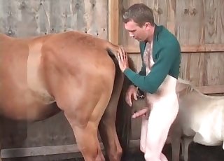 Farmer and his favorite horse