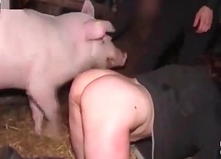 Pig fucks her small wet twat
