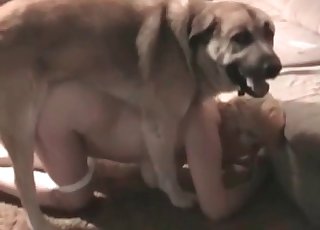 Lovely hardcore sex with a dog