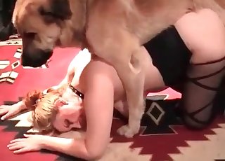 Retriever fucks a slim bitch