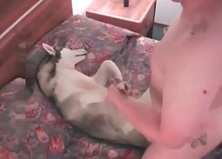 Hot white dog fucks with a male
