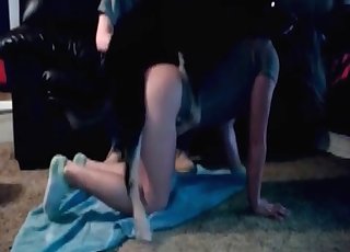 Hound impales her lovely twat