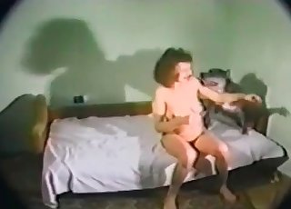 Hound is so freaking playful dog