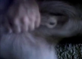 Gorgeous animal hole getting fingered