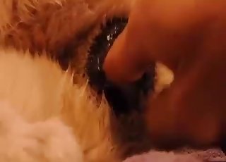 Close-up penetration in a zoo vid