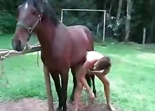 Nice stallion sucking his tight ass at farm