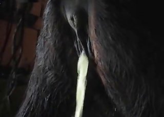 Dude punishing his animal's hole