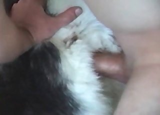 Amazing doggy licking his loaded hard boner