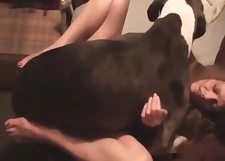 Beautiful chick and her nice doggy having sex
