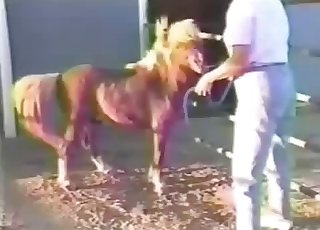 दो सेक्सी टट्टुओं ने खलिहान में ज़बरदस्त सेक्स किया